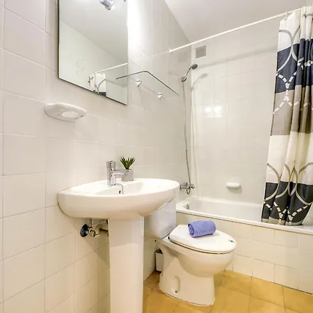 Mismar-8 By Interhome Roses